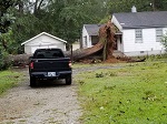 Storm damage fallen trees